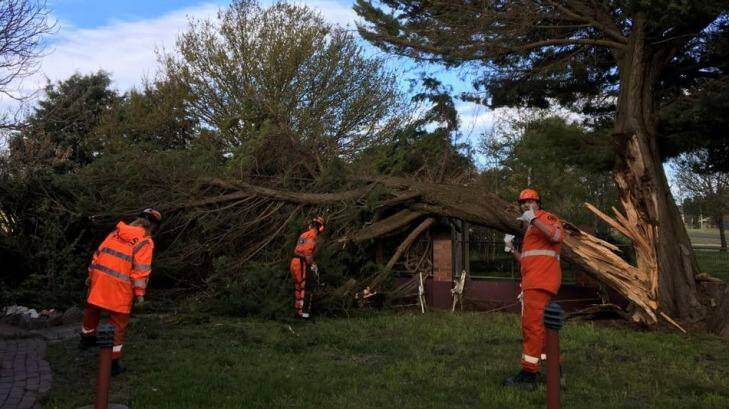 The storm that hit Canberra on Tuesday wreaked havoc at Bungendore. Photo: Alix Burnett