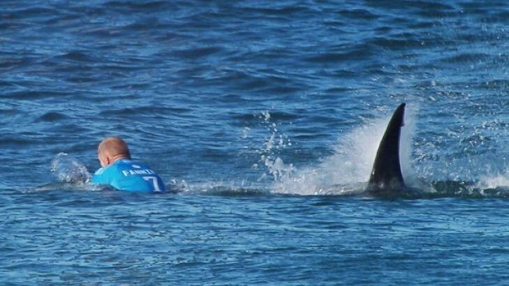 The image that shocked the world: The moment a shark launched itself at Mick Fanning. Photo: World Surf League