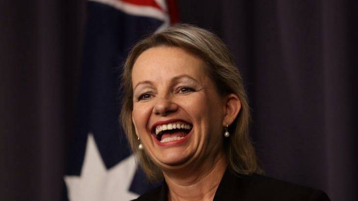 Health minister Sussan Ley has found a more successful approach than her predecessor. Photo: Andrew Meares