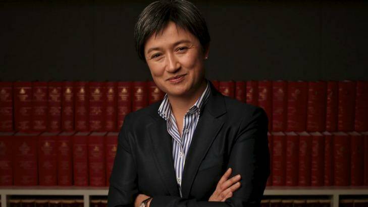 Senator Penny Wong has called for Labor to develop a positive policy platform. Photo: Andrew Meares