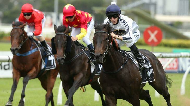 American dream: Jason Collett and Yankee Rose (right) take out the Jimmy "The Pumper" Cassidy Golden Gift at Rosehill. Photo: bradleyphotos.com.au