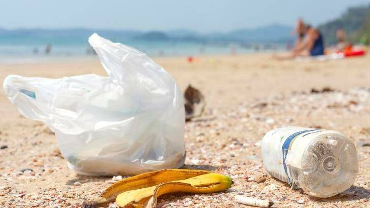 Boomerang Alliance has identified that between 100-130,000 tonnes of the plastic consumed in Australia enters our marine environment annually. Photo: Boomerang Alliance 
