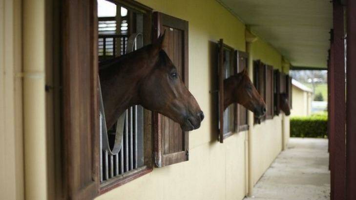 Patinack Farm comes with its own stallion and breeding facilities. Photo: LJ Hooker