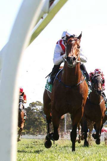 Too strong: The highly touted Deep Field scores at Randwick. Photo: Anthony Johnson