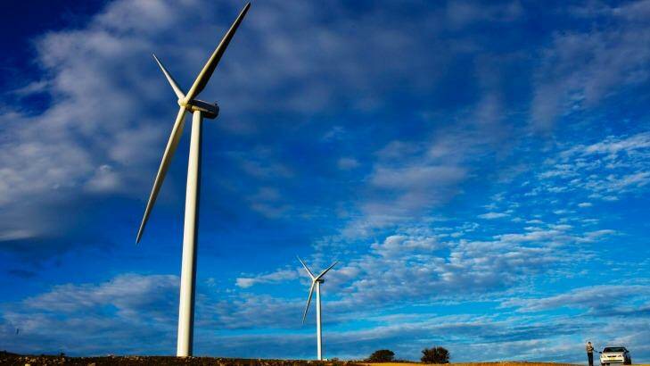 The NSW government is likely to impose tough requirements on developers of wind farms. Photo: Nic Walker
