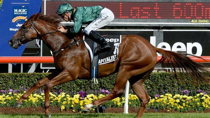 Class act: Blake Shinn rides Capitalist to victory on the Gold Coast. Photo: Getty Images 