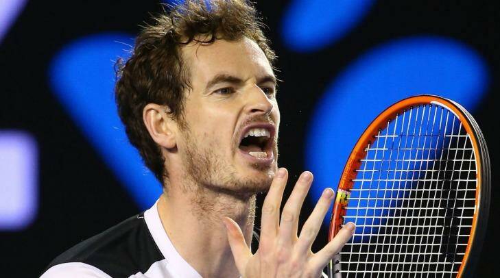 Gruelling contest:  Andy Murray reacts during the five-set semi-final. Photo: Quinn Rooney