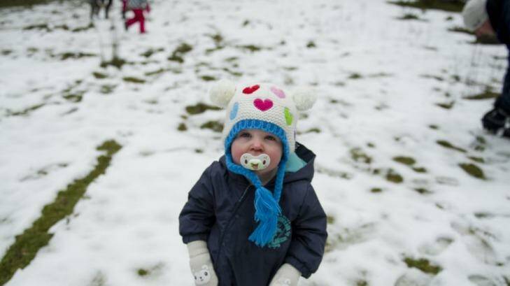 Eloise, 16 months, plays in the snow at Corin Forest. Photo: Jay Cronan