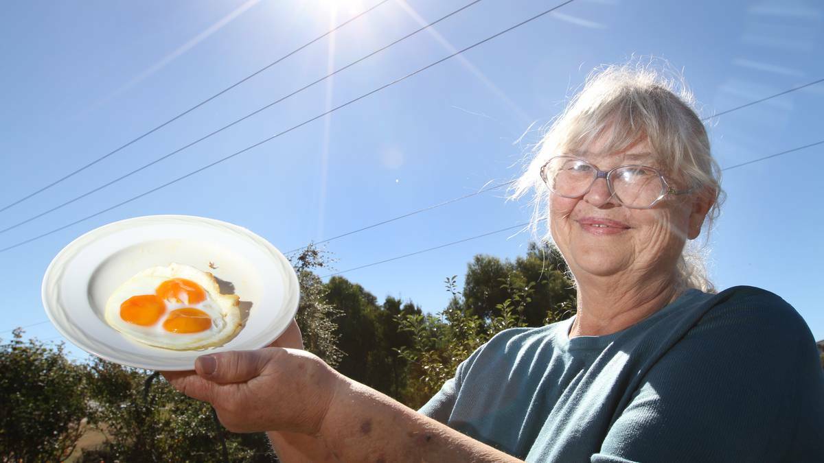 Burnie resident Maxine Abblitt was shocked to see a three-yolk egg come from one of her beloved chickens. Pictures: Katrina Dodd, The Advocate.