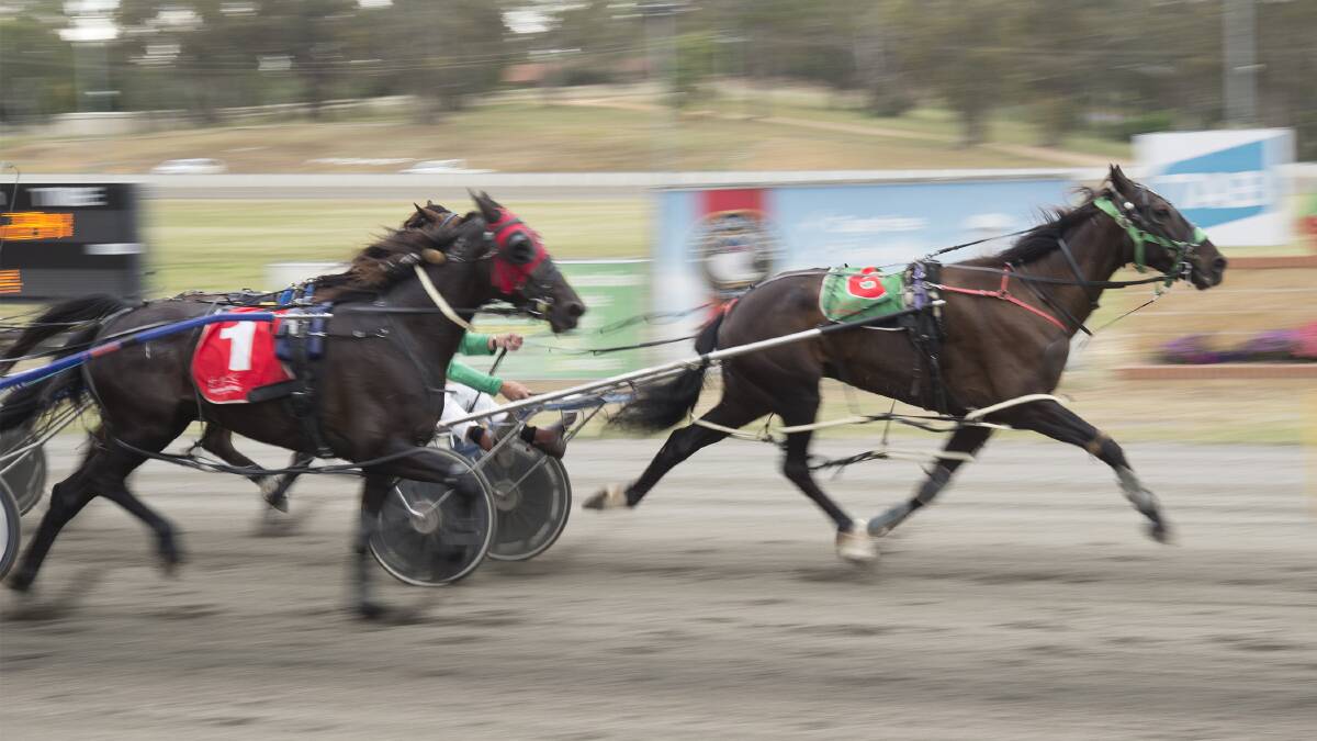 FINISH: Gooloogong-trained Lombos Assetts crossing the line in Race 6. Photo: Martin Langfield Photography.