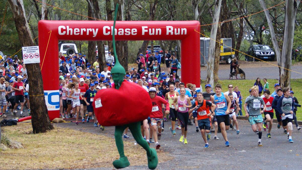 The 2014 Cherry Chase