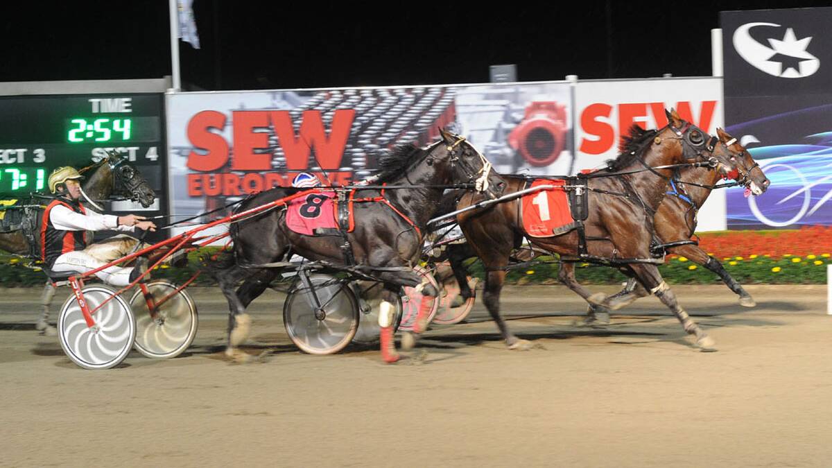VICTORY: Ultimate Art (middle horse) winning a heat of the Inter Dominion at Tabcorp Park Menangle recently. 				  Photo courtesy of NSWHRC.
