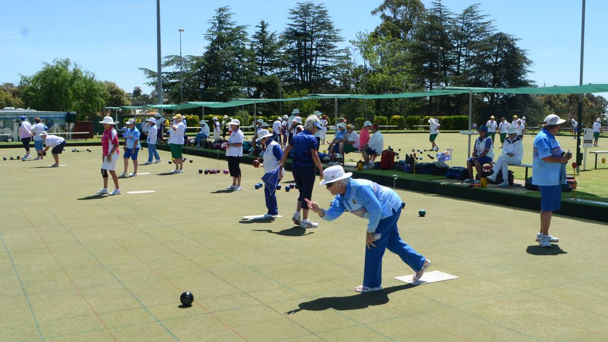 TOURNAMENT: The 2014 Cherry Festival Women’s Bowls Tournament attracted a whopping 120 contestants. They are pictured competing at the Young Bowling Club on Tuesday afternoon. 			    (bowlscarnival (22))