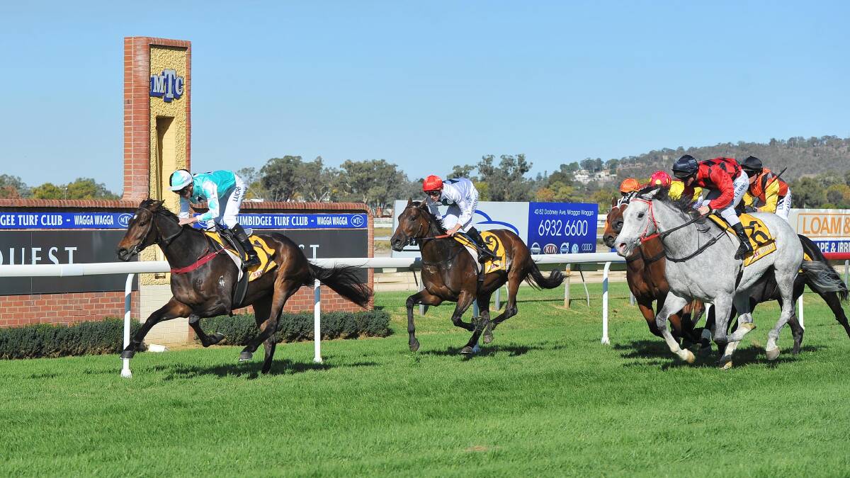 WINNER: High Opinion races away with the MTC Country Cup (2000m) at Murrumbidgee Turf Club.   					                              Photo: Kieren L Tilly
