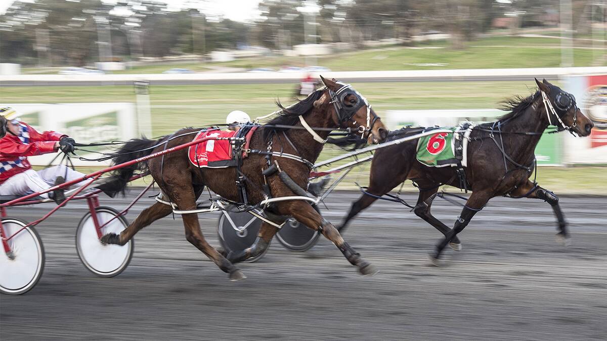 CHALLENGING FINISH: Afamilyaffair driven by Nathan Hoy at Fridays Young Harness racing meeting. The favorite just held off a strong challenge from Waratah Beach. Photo courtesy of Martin Langfield - Classique Imagerie Studio.