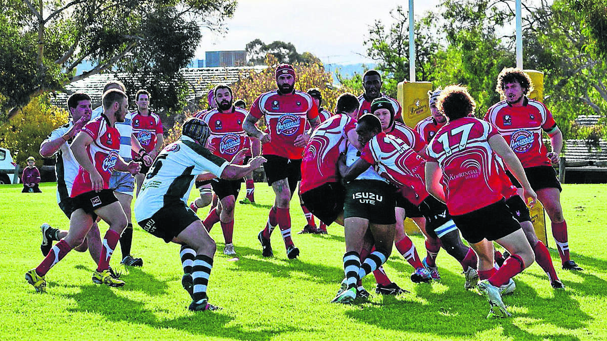 ABOVE: The CSU Reddies swarm a Young Yabbies player during their first grade match in Wagga on Saturday. 	   (sub)
