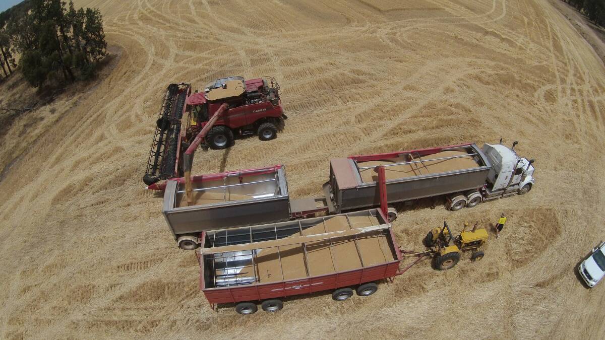 Taken with the use of a drone, this photo offers a whole new perspective on harvest.