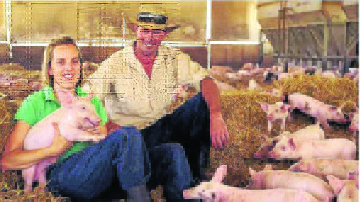 PROPOSAL: Edwina and Michael Beveridge of Blantyre Farms are hoping to build a piggery at Harden, but their plans have hit a stumbling block.                                               Photo: The Sydney Morning Herald