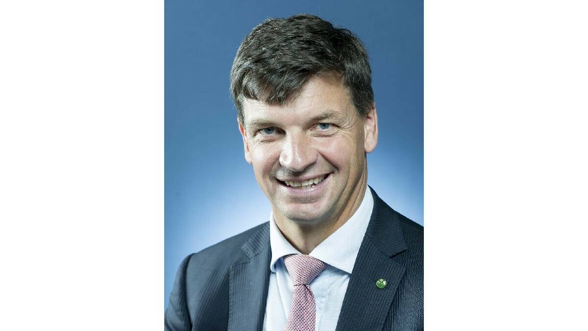 Federal member for Hume Angus Taylor said mobile phone base stations could be co-located on new broadband towers.