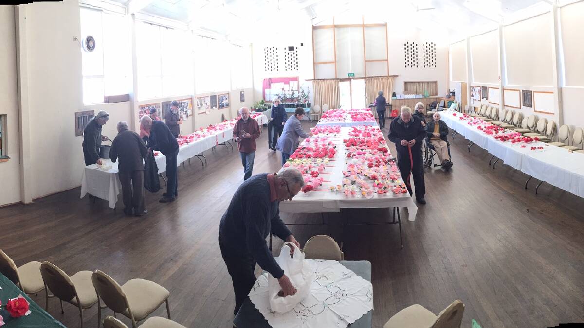 BRIGHT: Young’s Uniting Church Hall brimmed with over 1000 blooms as part of the 2015 Camellia Spectacular.                                                                     