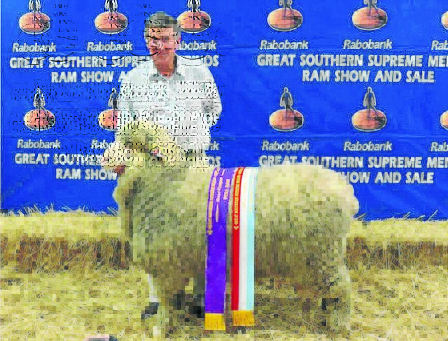 BIG WINNER: Ian Griffith with Brundanella 14-002 ( Big Al ) , the Supreme Poll Exhibit at the Great Southern Supreme Merino Show and Sale in Canberra.		                                                      (sub)