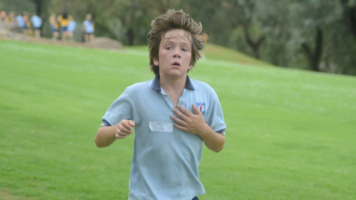 EXHAUSTED: Luke Evans of Young North gave his cross country everything he had. 