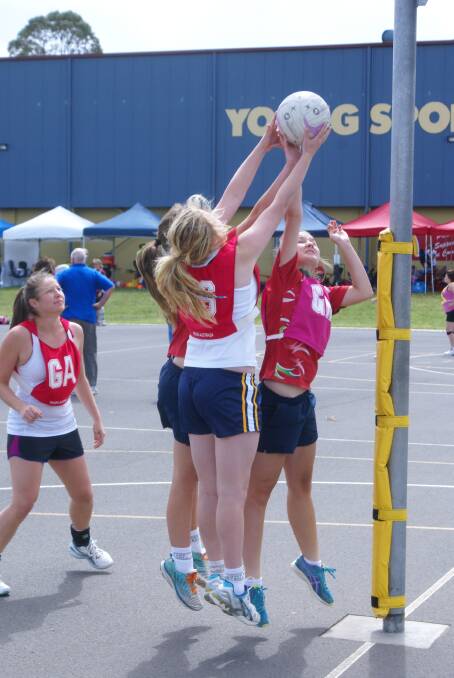 2013: The action from last year's Young Netball Cherry Festival Carnival.
