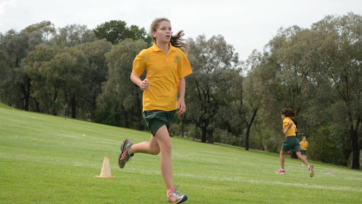 Young Public School cross country.