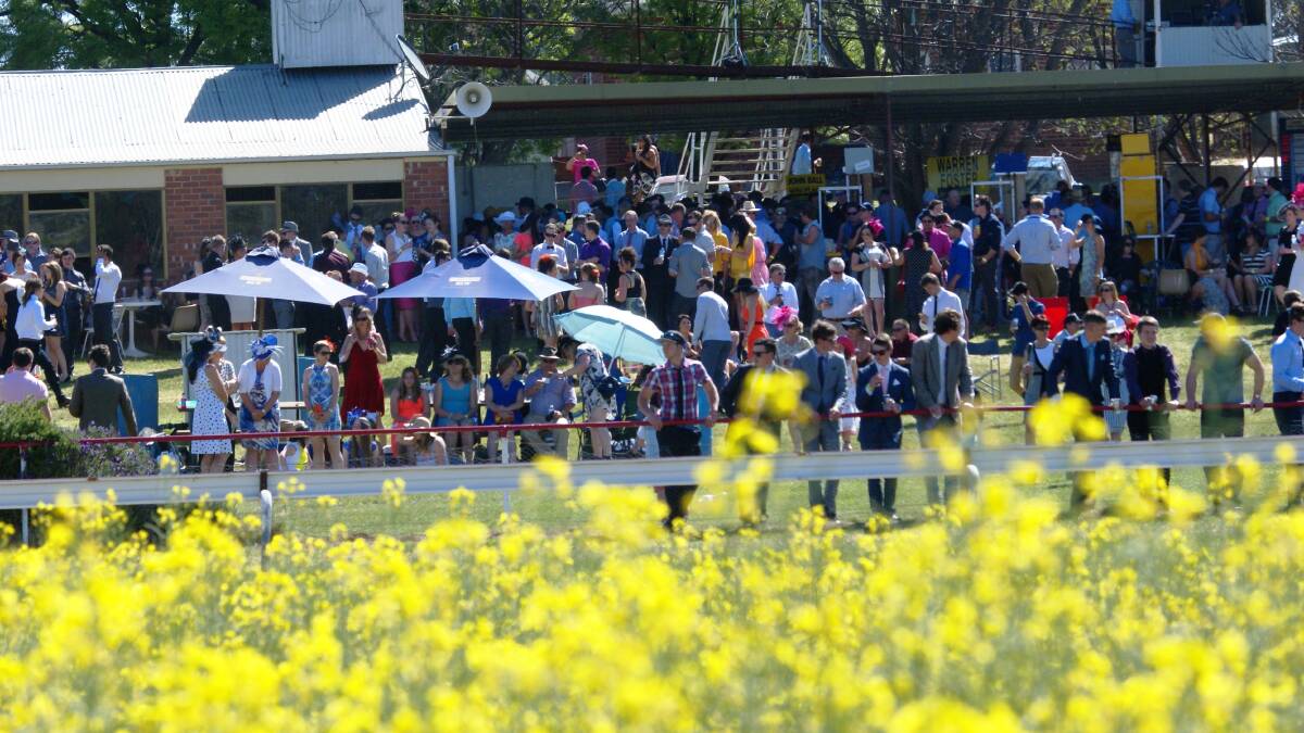 The 2014 Burrangong Picnic Races at Toompang Races attracted up to 3000 people this year.