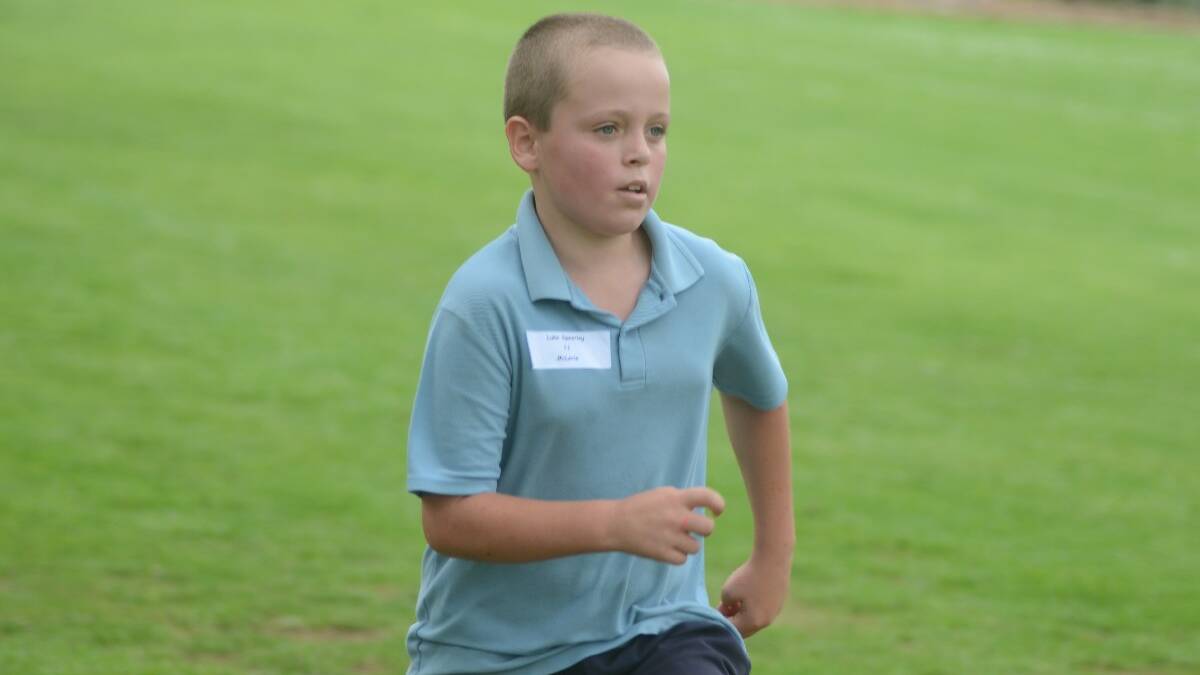 STEADY PACE: Luke Speering from Young North Public School in the 11 years boys age group.
