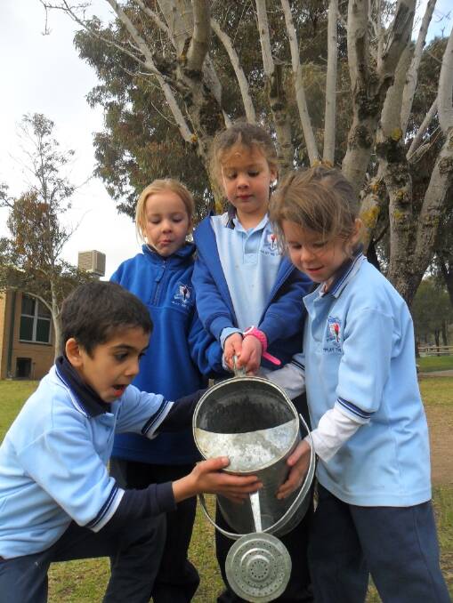 Young North Public School students Ibrahim Chemiet, Shay-Lea Pullen, Hollie Griffiths and Mikayla Hambrook practise their watering skills. 