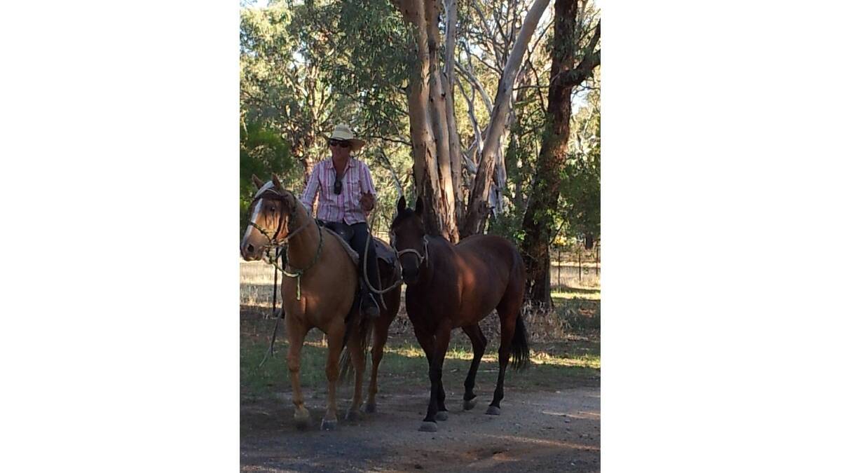 Drover returning from muster. 