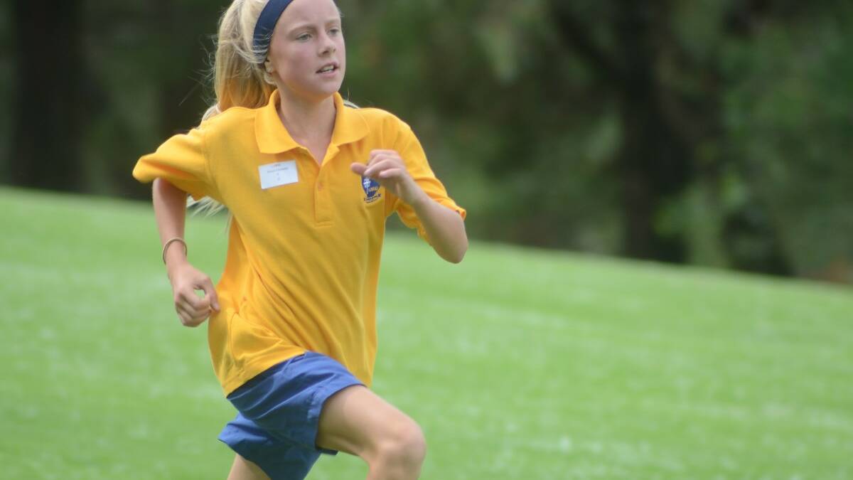 RUN: Grace Connelly approaches the finish line during St Mary’s cross country event recently. 	