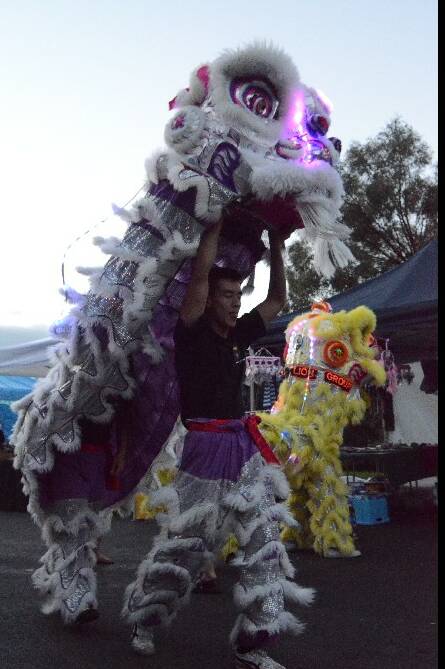 The spectacular dancing lions in Anderson Park for the Lambing Flat Chinese Festival.