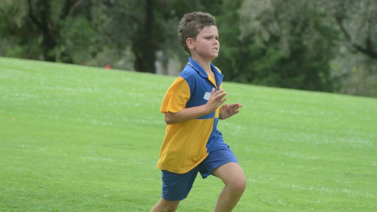 FAST: Declan Cashels during the school’s annual cross country competition.
