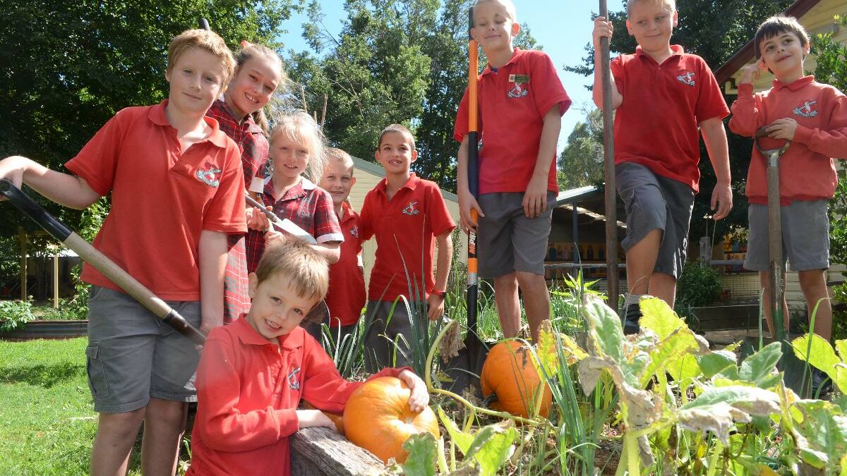 Garden a life lesson: Five years after establishing a Stephanie Alexander Kitchen Garden, Murringo Public School students are not only propogating their own vegetables but they’re gobbling them as fast as they’re growing them. From back, left to right, Tyson McCarron, Anna Dowling, Lily Rice, Zac Long, Archie Dowling, Michael Downer, Tennyson Neville and Christopher Bartolo. Front - Luke Edwardes is the owner of this pumpkin patch.
