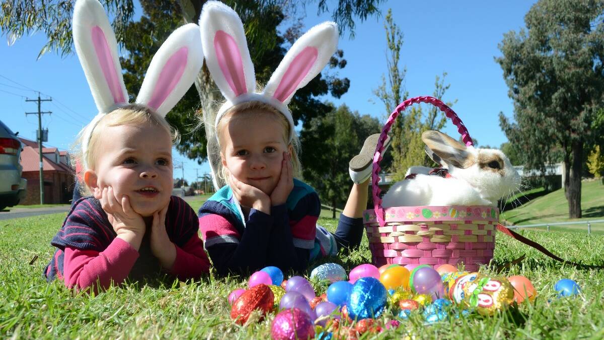 Happy Easter: There were egg hunts and chocolate faces galore as the Young Shire celebrated Easter for 2014. Ivy (2) and Sybella (4) Murphy were looking forward to a visit from the Easter bunny this weekend.