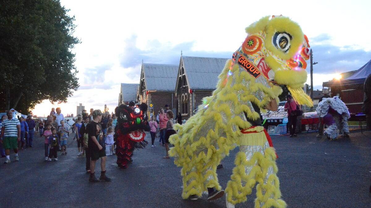 The spectacular dancing lions in Anderson Park for the Lambing Flat Chinese Festival.