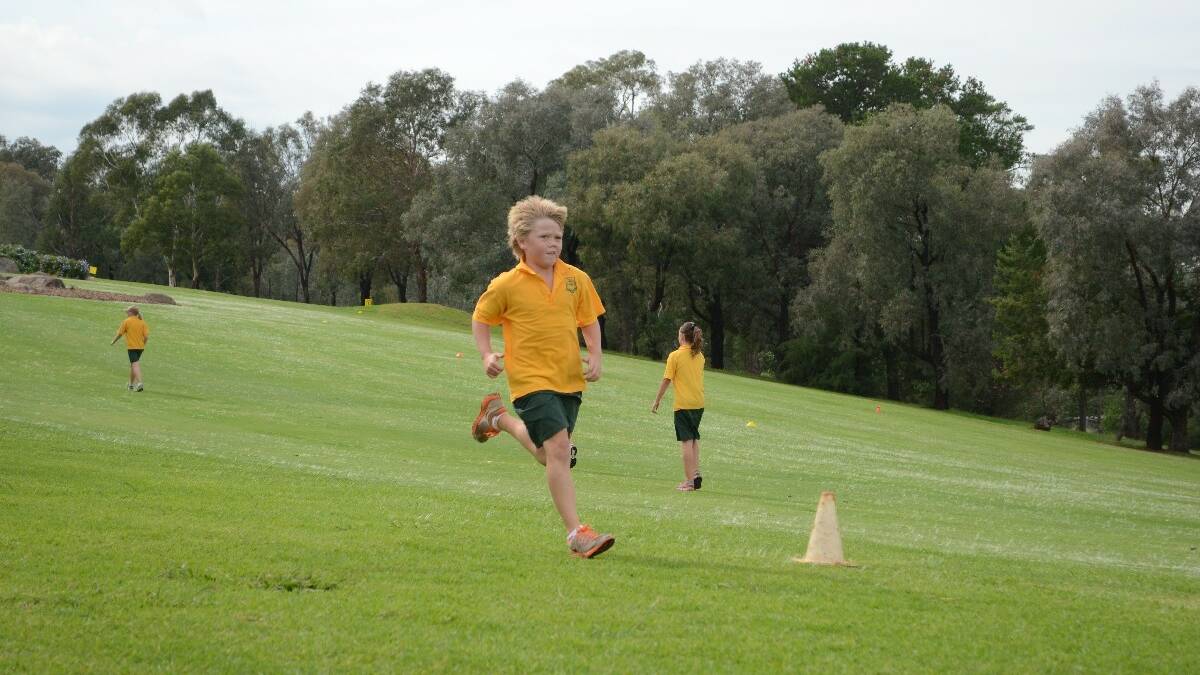 Young Public School cross country.