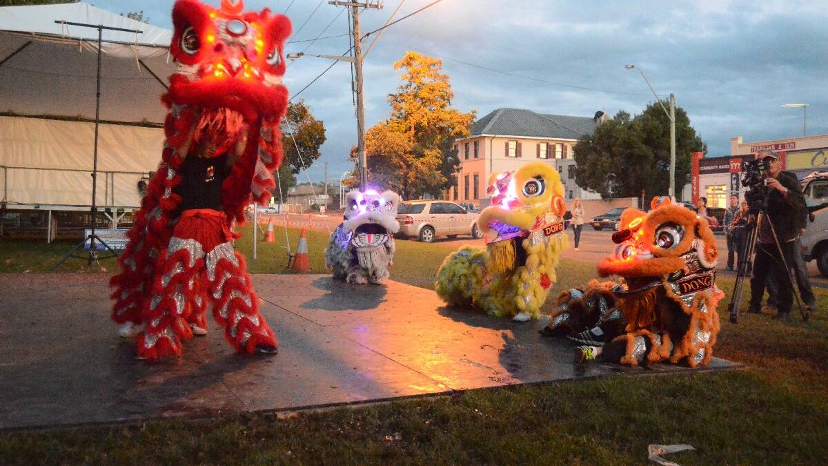 The spectacular lions dance in Anderson Park for the Lambing Flat Chinese Festival.