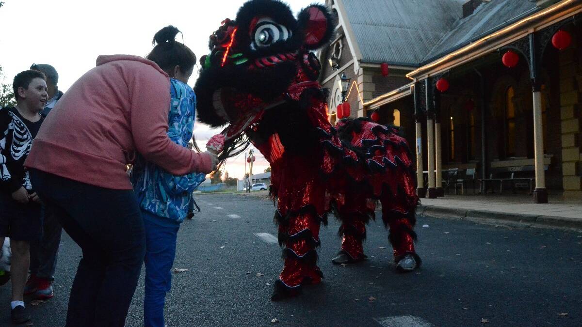 INTRIGUED: Children took particular delight in the lion dancers who frolicked around them after their performance in Anderson Park.