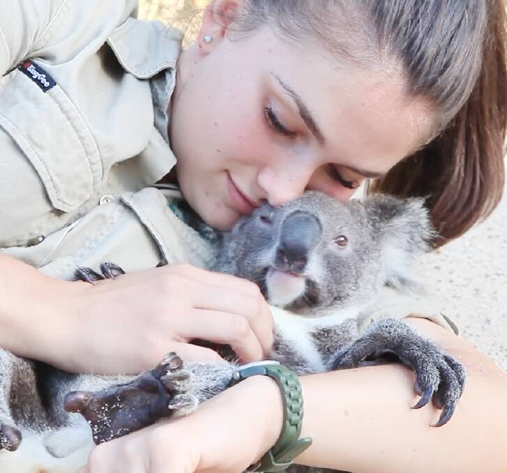 World goes crazy for koala orphan