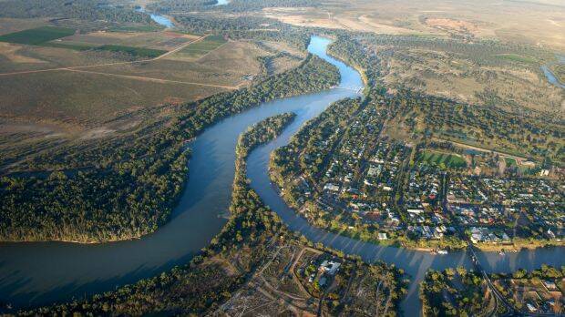 The Murray and Darling rivers meet at Wentworth in NSW. Photo: Justin McManus