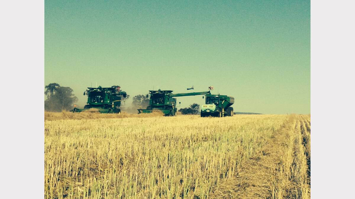 Harvest in the Wee Waa area Photo: CHRIS SMITH