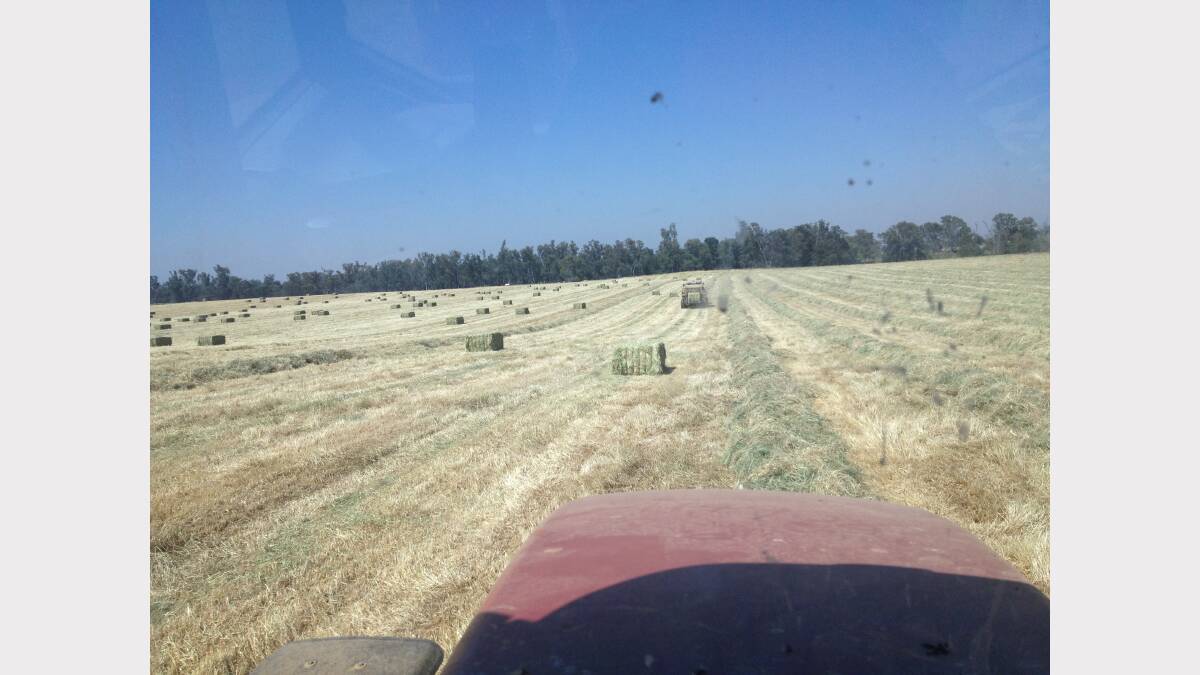 Bailing cereal crop in Canowindra Photo: NANCY PACE
