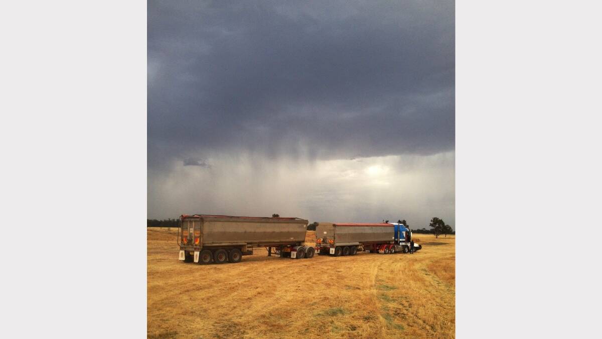 What and barley harvesting at 'Buena Vista' at Collie Photo: TOM LAWRENCE