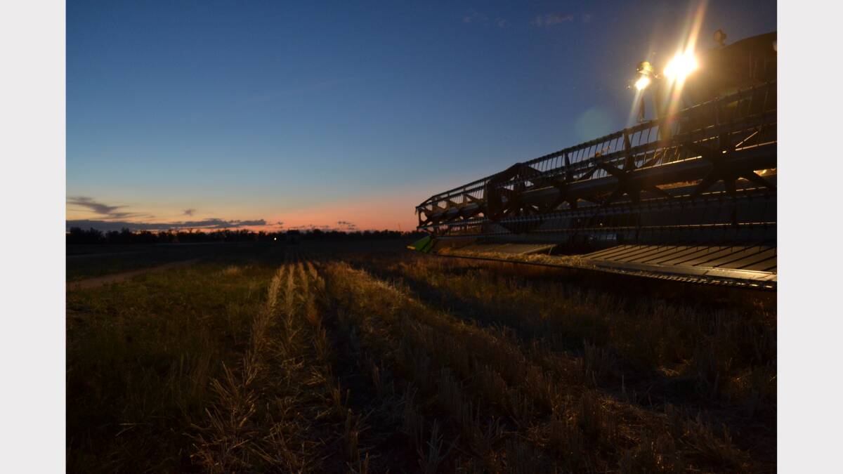 Sunset Harvest at Dubbo Photo: NONI McCARTHY