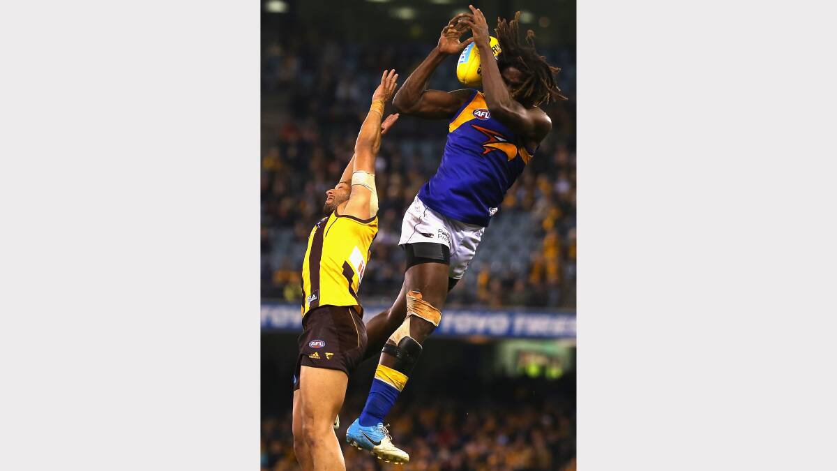 West Coast's Nic Naitanui flies for a mark against Hawthorn. Photo: Getty Images.