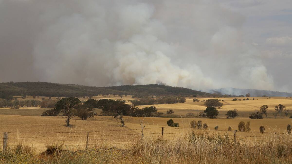 Looking east towards Boorowa from the Moppity Road. Photos by Sarah Waddell. 