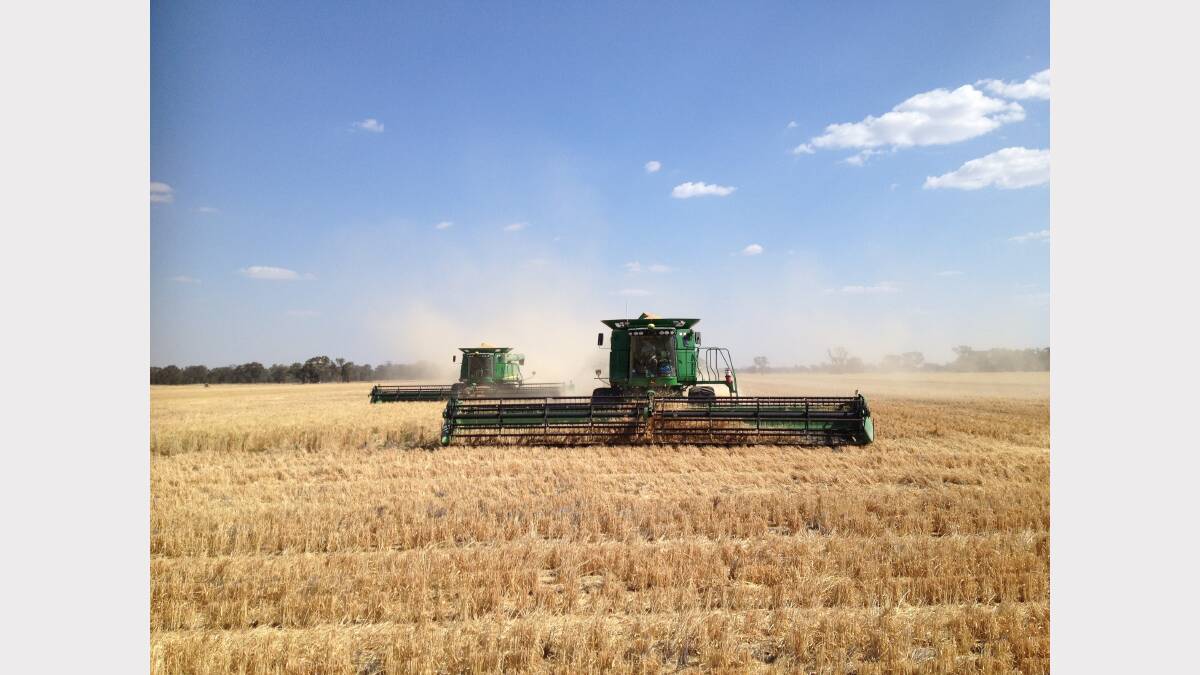 Your harvest photos. Photo submitted by Ruth Simmons. 